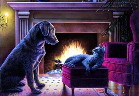 This is my Place - fire, home, cat, chimney, dog