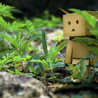 DANBO IN THE GRASS