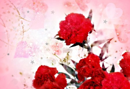 CARNATIONS ON PINK - nature, pink, red, backgrounds, flowers, bouquet, carnations