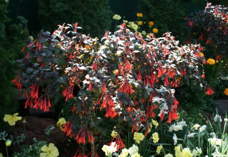 Beauty of flowers in Spring 29 - garden, flowers, photography, orange, yellow, green