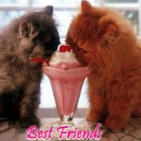 Best Friends