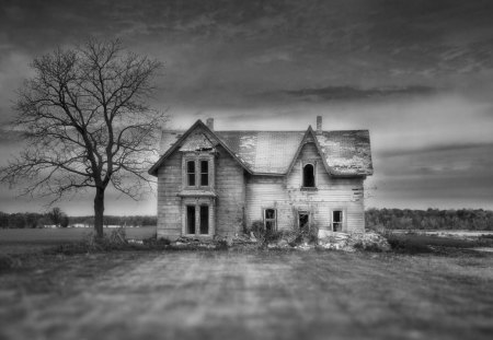 haunted house in focus - fields, focus, tree, house, black and white, abandoned