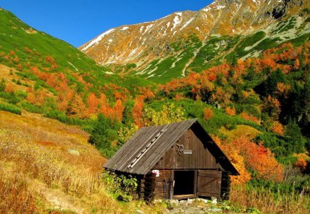 Mountain chalet - nice, hut, sky, slope, autumn, peaceful, quiet, calmness, pretty, grass, hills, mountain, wooden, summer, lovely, peaks, serenity, nature, chalet, beautiful