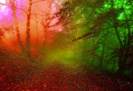 MYSTIQUE FOREST - sunset, fog, road, photoshop, colors, forest