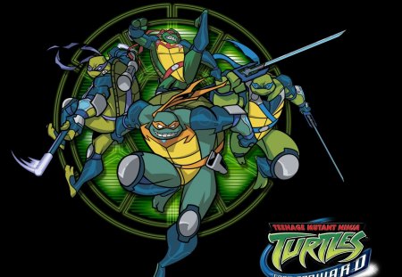 TMNT - NINJAS, FIGHTERS, TMNT, TURTLES