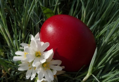 Simply beautiful - holidays, red, easter, flowers, eg