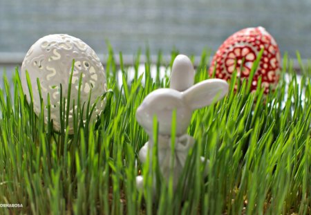 Pretty Decoration - eggs, grass, holidays, special days, Easter, bunny