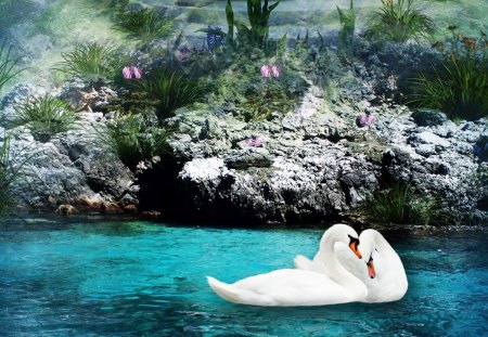 Swans Swoon - romantic, pair, grass, flowers, swans, nature, waterfall, pool, rocks