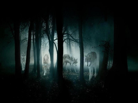 Light In The Darkness - wolves, abstract, trees, animals, forrest, fantasy