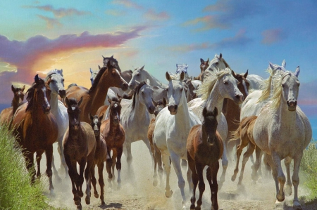 Horse herd - herd, dust, horse, running, skies