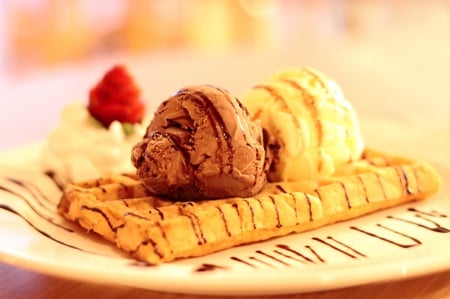 Ice Cream Waffle