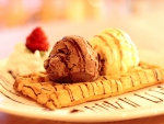 Ice Cream Waffle