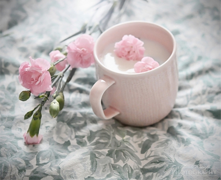 Thousand Years - ccup, flowers, pink, soft