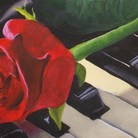 Rose On Piano Keys