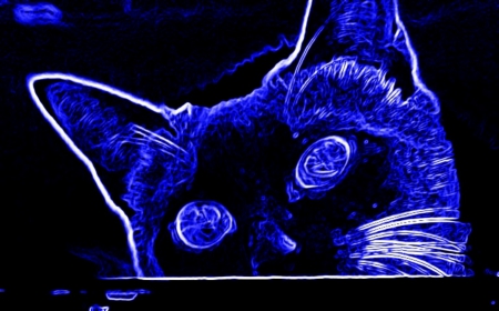 Cat - abstract, art, blue, cat