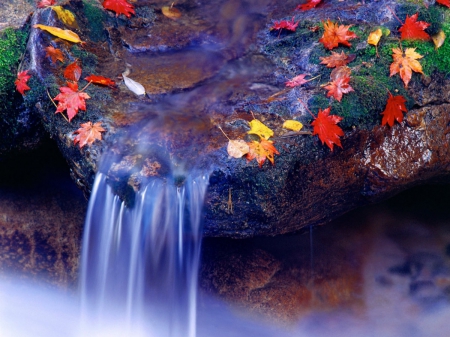 AUTUMN FALLS - fields, autumn, colorful, water, waterfall, fountains, blue, leaves, rain water