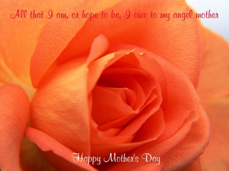 Mother's Day Gift - happy mothers day, mothers day gift, mothers day, mother, mom