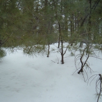 Snow Covered Hill