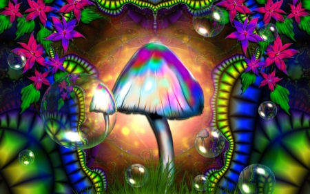 digital art - colorful, art, mushroom, digital