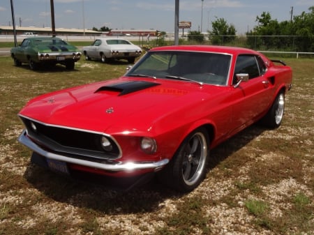 1969 Mustang Fastback - 1969 mustang fastback, ford, 1969 mustang, ford mustang