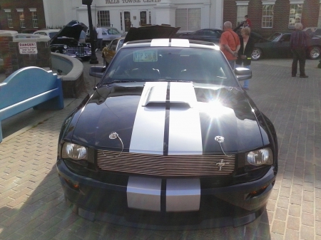 KILLER SHELBY - fast, nice, black, cool