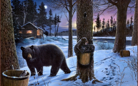 Bears - snow, black, cabin, brown