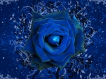 Animated Blue Rose