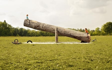 Forest Playground - kids, forest, photo, tree