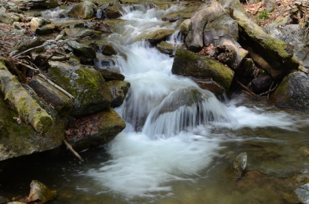 water - forest, water, waterfall, stones