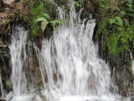 Waterfall created after Rainfall, New Zealand