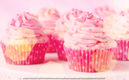 pink - pink, beautiful, cupcakes, sweet, desert