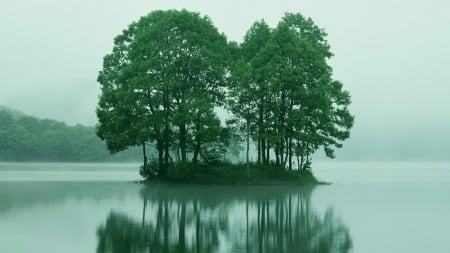 Small Island - nature, lake, japan, island, water, green, tree, mist