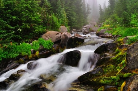 Forest stream - summer, forest, rocks, creek, beautiful, quiet, leaves, grass, river, nature, cascades, stream, flow, greenery, pretty, stones, nice, lovely, trees, calm, green