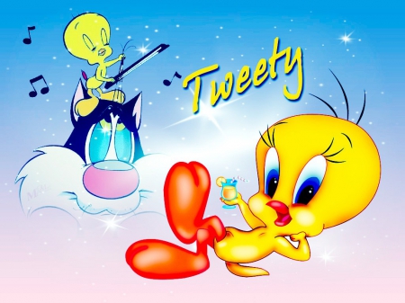 Tweety - tweety, cute, cat, blue