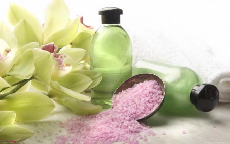 SPA TREATMENT - TREATMENT, SPA, SALTS, BATH