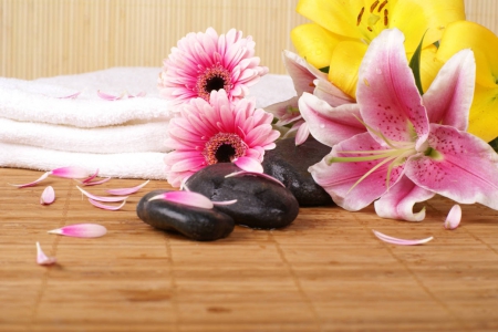 PINK SPA - spa, treat, flower, pink