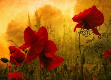 Magestic red - flower, red, painting, beautiful