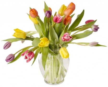 Anaheim Flowers - flowers in anaheim, anaheim flower shops, flower delivery anaheim, anaheim florist