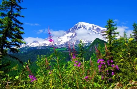 Mountain beauty - nice, sky, slope, freshness, trees, mpintainscape, greenery, amazing, view, pretty, green, snowy, grass, cliffs, mountain, majestic, lovely, peaks, nature, beautiful, flowers