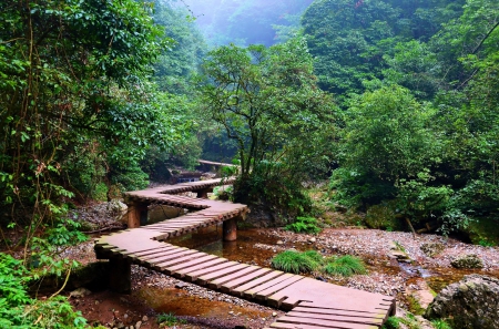 Wooden Path - dust, hdr, landscape, trees