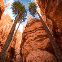 Bryce Canyon National Prk, Utah