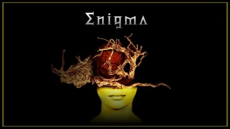 Enigma - entertainment, people, technology, other