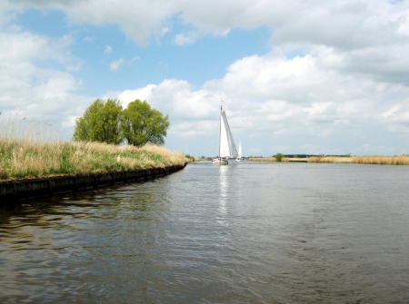 Sailing - sunshine, sail, trees, photography, water, spring, nature, calm, green, tree, sailboat, grass