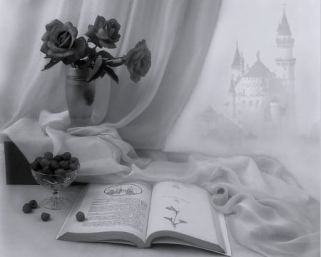 B&W Memories - roses, casle, book, memory