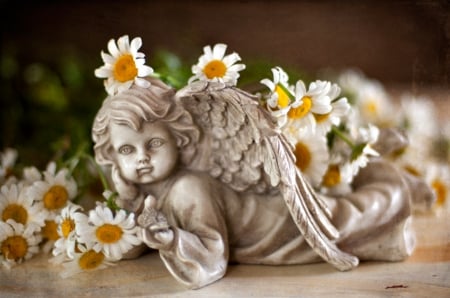 With Love (for Andonia) - love, angel, for you, daisy, still life, with love, nature, andonia, flowers, daisies