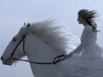 White horse