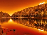 wonderful orange lake