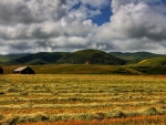 beautiful hay fields