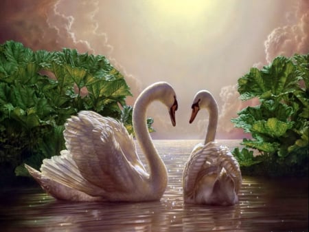 Loving mates - beauty, birds, swans, pair