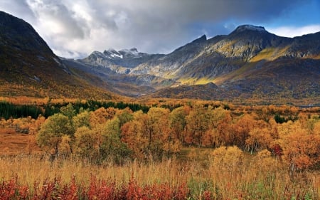 wonderful valley in autumn - valley, autumn, forest, clouds, mountains